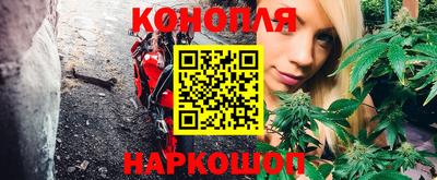 ешки Бийск
