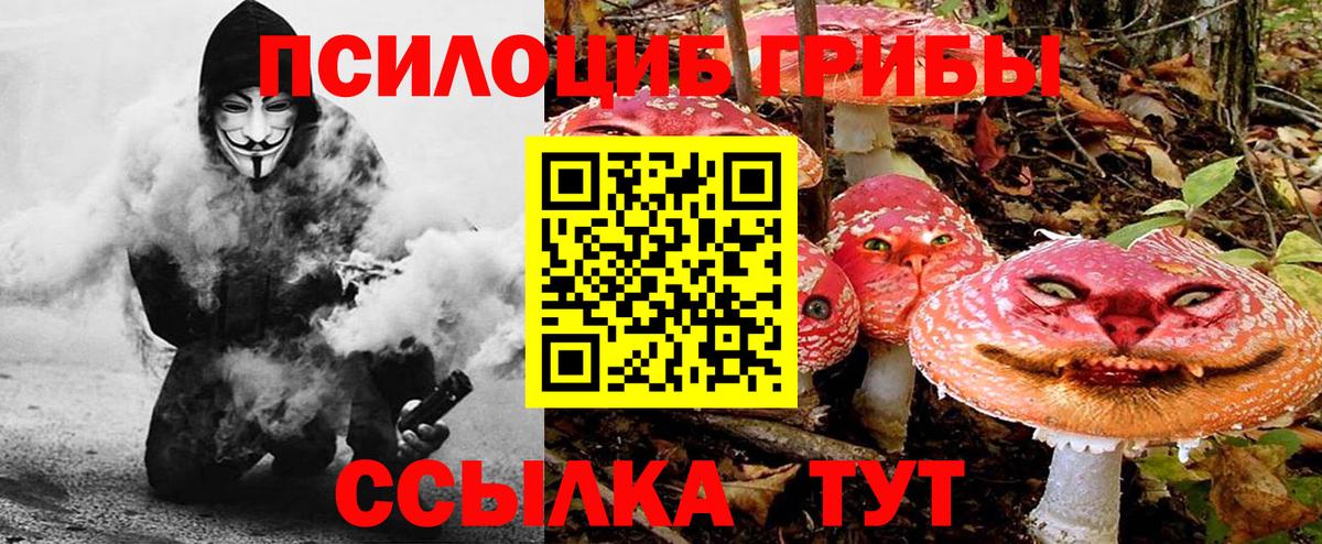 Псилоцибиновые грибы GOLDEN TEACHER  Вход с VPN  Галлюциногенные грибы Psilocybine cubensis  Калуга 